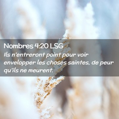Picture 02 - Nombres 4:20 LSG - Ils n'entreront point pour voir envelopper les - Bible Verse Picture