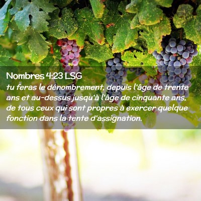 Picture 02 - Nombres 4:23 LSG - tu feras le dénombrement, depuis l'âge de - Bible Verse Picture