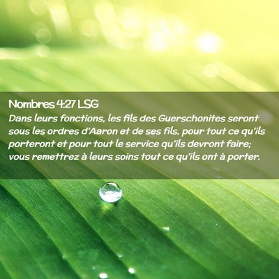 Picture 02 - Nombres 4:27 LSG - Dans leurs fonctions, les fils des Guerschonites - Bible Verse Picture