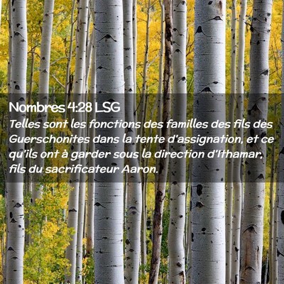 Picture 02 - Nombres 4:28 LSG - Telles sont les fonctions des familles des fils - Bible Verse Picture