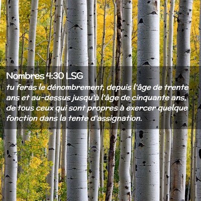 Picture 02 - Nombres 4:30 LSG - tu feras le dénombrement, depuis l'âge de - Bible Verse Picture