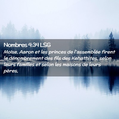 Picture 02 - Nombres 4:34 LSG - Moïse, Aaron et les princes de l'assemblée - Bible Verse Picture