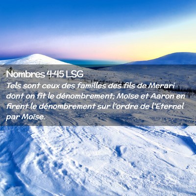 Picture 02 - Nombres 4:45 LSG - Tels sont ceux des familles des fils de Merari - Bible Verse Picture