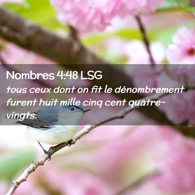 Picture 02 - Nombres 4:48 LSG - tous ceux dont on fit le dénombrement furent - Bible Verse Picture