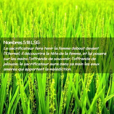 Picture 02 - Nombres 5:18 LSG - Le sacrificateur fera tenir la femme debout - Bible Verse Picture