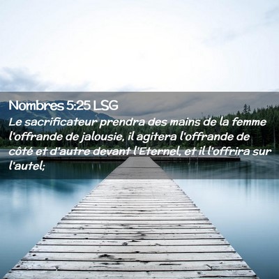 Picture 02 - Nombres 5:25 LSG - Le sacrificateur prendra des mains de la femme - Bible Verse Picture