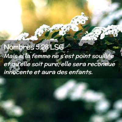 Picture 02 - Nombres 5:28 LSG - Mais si la femme ne s'est point souillée et - Bible Verse Picture