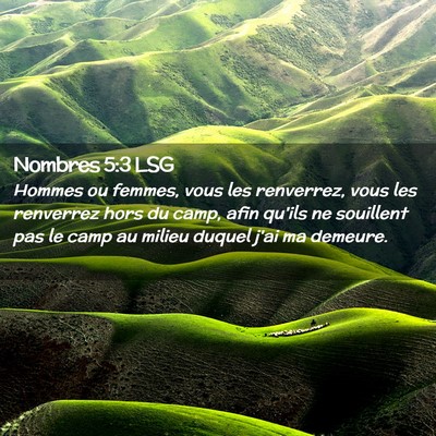Picture 02 - Nombres 5:3 LSG - Hommes ou femmes, vous les renverrez, vous les - Bible Verse Picture
