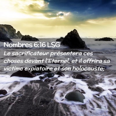 Picture 02 - Nombres 6:16 LSG - Le sacrificateur présentera ces choses devant - Bible Verse Picture