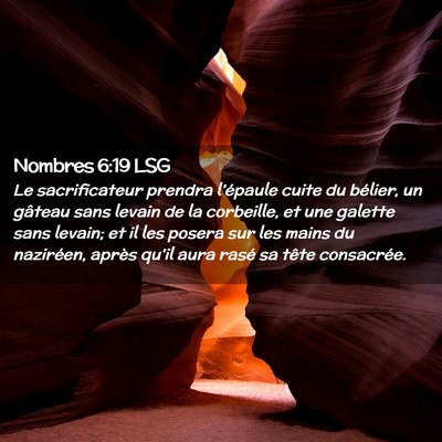 Picture 02 - Nombres 6:19 LSG - Le sacrificateur prendra l'épaule cuite du - Bible Verse Picture