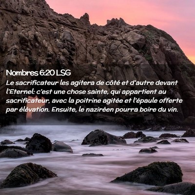 Picture 02 - Nombres 6:20 LSG - Le sacrificateur les agitera de côté et d'autre - Bible Verse Picture