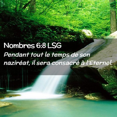 Picture 02 - Nombres 6:8 LSG - Pendant tout le temps de son naziréat, il sera - Bible Verse Picture