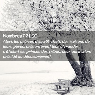 Picture 02 - Nombres 7:2 LSG - Alors les princes d'Israël, chefs des maisons de - Bible Verse Picture