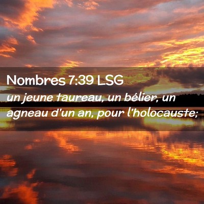 Picture 02 - Nombres 7:39 LSG - un jeune taureau, un bélier, un agneau d'un an, - Bible Verse Picture