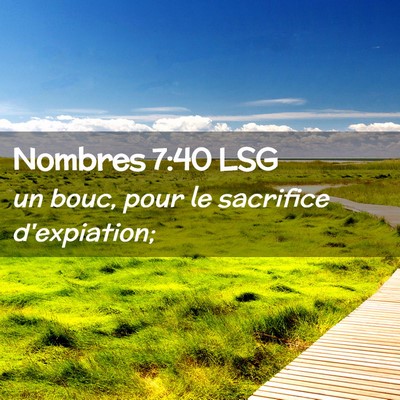 Picture 02 - Nombres 7:40 LSG - un bouc, pour le sacrifice - Bible Verse Picture