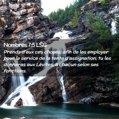 Picture 02 - Nombres 7:5 LSG - Prends d'eux ces choses, afin de les employer - Bible Verse Picture