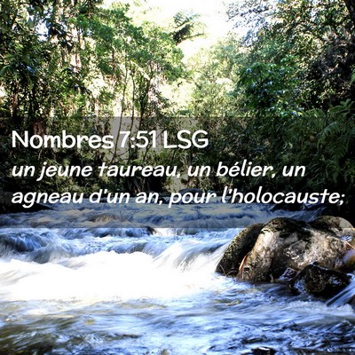 Picture 02 - Nombres 7:51 LSG - un jeune taureau, un bélier, un agneau d'un an, - Bible Verse Picture