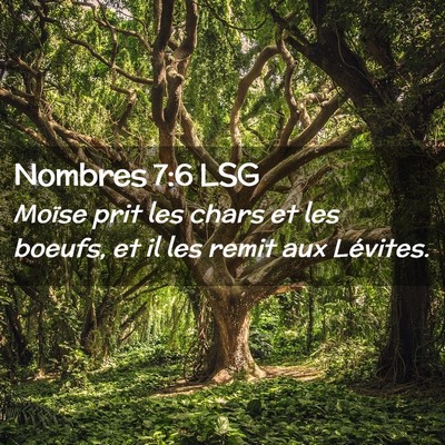 Picture 02 - Nombres 7:6 LSG - Moïse prit les chars et les boeufs, et il les - Bible Verse Picture