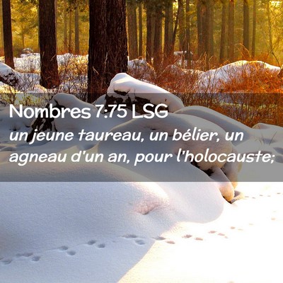 Picture 02 - Nombres 7:75 LSG - un jeune taureau, un bélier, un agneau d'un an, - Bible Verse Picture