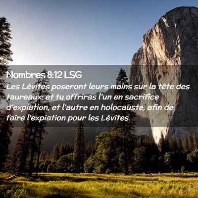 Picture 02 - Nombres 8:12 LSG - Les Lévites poseront leurs mains sur la tête - Bible Verse Picture