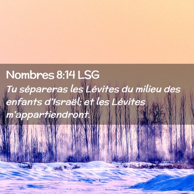 Picture 02 - Nombres 8:14 LSG - Tu sépareras les Lévites du milieu des enfants - Bible Verse Picture