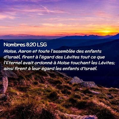 Picture 02 - Nombres 8:20 LSG - Moïse, Aaron et toute l'assemblée des enfants - Bible Verse Picture