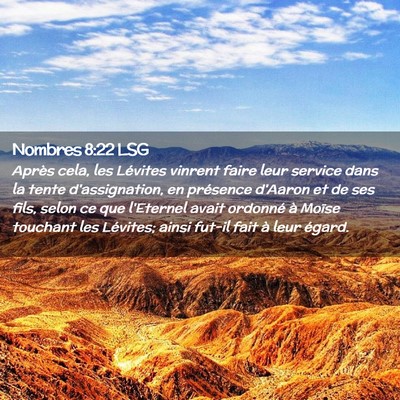 Picture 02 - Nombres 8:22 LSG - Après cela, les Lévites vinrent faire leur - Bible Verse Picture