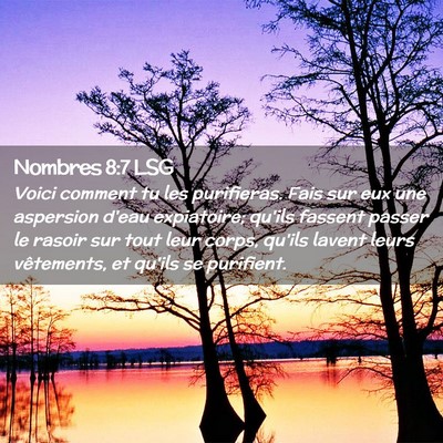 Picture 02 - Nombres 8:7 LSG - Voici comment tu les purifieras. Fais sur eux une - Bible Verse Picture