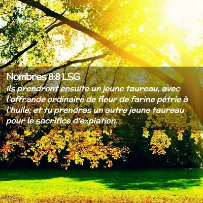 Picture 02 - Nombres 8:8 LSG - Ils prendront ensuite un jeune taureau, avec - Bible Verse Picture