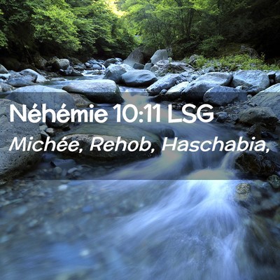 Picture 02 - Néhémie 10:11 LSG - Michée, Rehob, - Bible Verse Picture