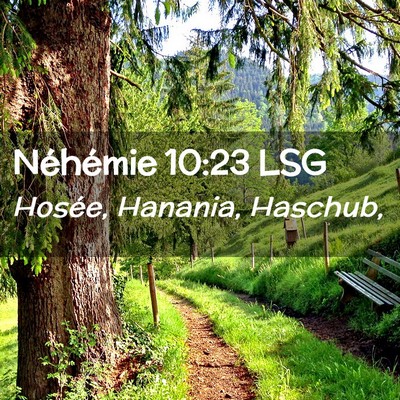 Picture 02 - Néhémie 10:23 LSG - Hosée, Hanania, - Bible Verse Picture