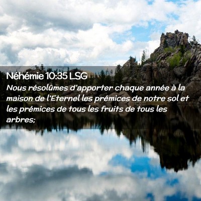 Picture 02 - Néhémie 10:35 LSG - Nous résolûmes d'apporter chaque année à la - Bible Verse Picture