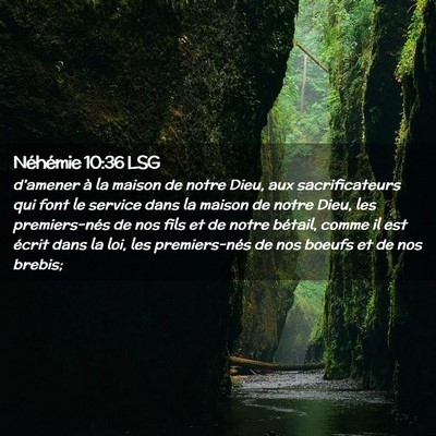 Picture 02 - Néhémie 10:36 LSG - d'amener à la maison de notre Dieu, aux - Bible Verse Picture