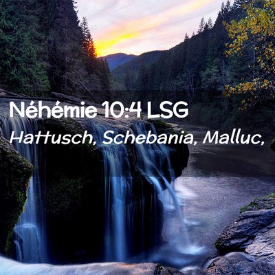Picture 02 - Néhémie 10:4 LSG - Hattusch, Schebania, - Bible Verse Picture