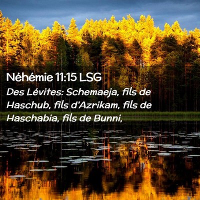 Picture 02 - Néhémie 11:15 LSG - Des Lévites: Schemaeja, fils de Haschub, fils - Bible Verse Picture