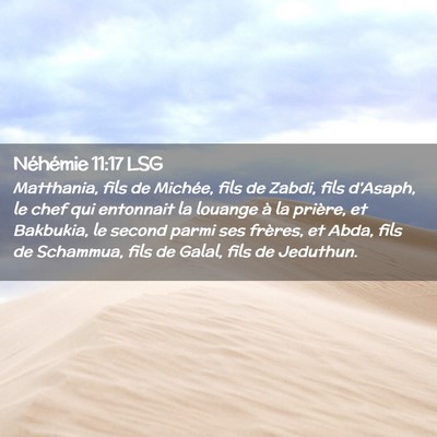 Picture 02 - Néhémie 11:17 LSG - Matthania, fils de Michée, fils de Zabdi, fils - Bible Verse Picture