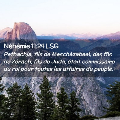 Picture 02 - Néhémie 11:24 LSG - Pethachja, fils de Meschézabeel, des fils de - Bible Verse Picture