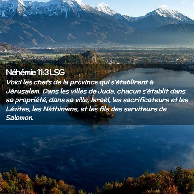 Picture 02 - Néhémie 11:3 LSG - Voici les chefs de la province qui s'établirent - Bible Verse Picture