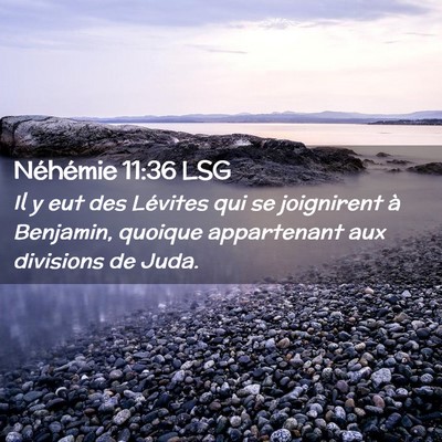 Picture 02 - Néhémie 11:36 LSG - Il y eut des Lévites qui se joignirent à - Bible Verse Picture