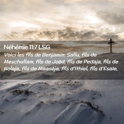 Picture 02 - Néhémie 11:7 LSG - Voici les fils de Benjamin: Sallu, fils de - Bible Verse Picture