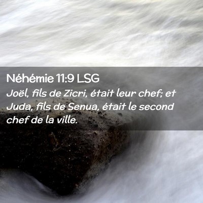 Picture 02 - Néhémie 11:9 LSG - Joël, fils de Zicri, était leur chef; et Juda, - Bible Verse Picture