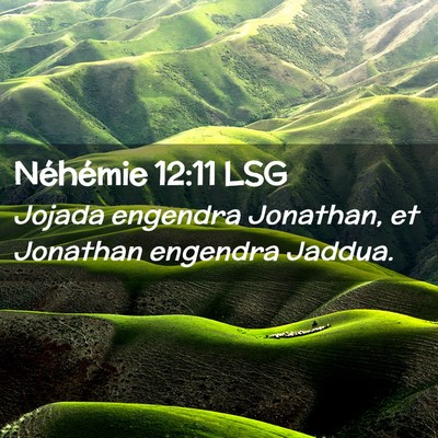 Picture 02 - Néhémie 12:11 LSG - Jojada engendra Jonathan, et Jonathan engendra - Bible Verse Picture