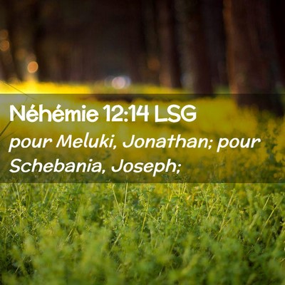 Picture 02 - Néhémie 12:14 LSG - pour Meluki, Jonathan; pour Schebania, - Bible Verse Picture