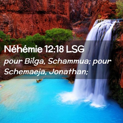 Picture 02 - Néhémie 12:18 LSG - pour Bilga, Schammua; pour Schemaeja, - Bible Verse Picture