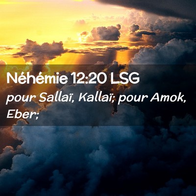 Picture 02 - Néhémie 12:20 LSG - pour Sallaï, Kallaï; pour Amok, - Bible Verse Picture