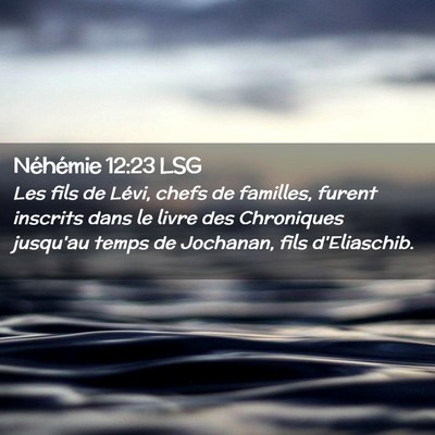 Picture 02 - Néhémie 12:23 LSG - Les fils de Lévi, chefs de familles, furent - Bible Verse Picture