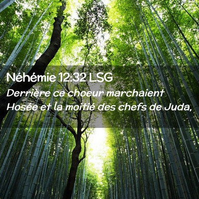 Picture 02 - Néhémie 12:32 LSG - Derrière ce choeur marchaient Hosée et la - Bible Verse Picture