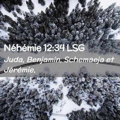 Picture 02 - Néhémie 12:34 LSG - Juda, Benjamin, Schemaeja et - Bible Verse Picture