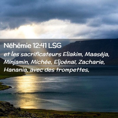 Picture 02 - Néhémie 12:41 LSG - et les sacrificateurs Eliakim, Maaséja, - Bible Verse Picture