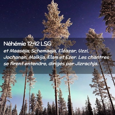 Picture 02 - Néhémie 12:42 LSG - et Maaséja, Schemaeja, Eléazar, Uzzi, Jochanan, - Bible Verse Picture